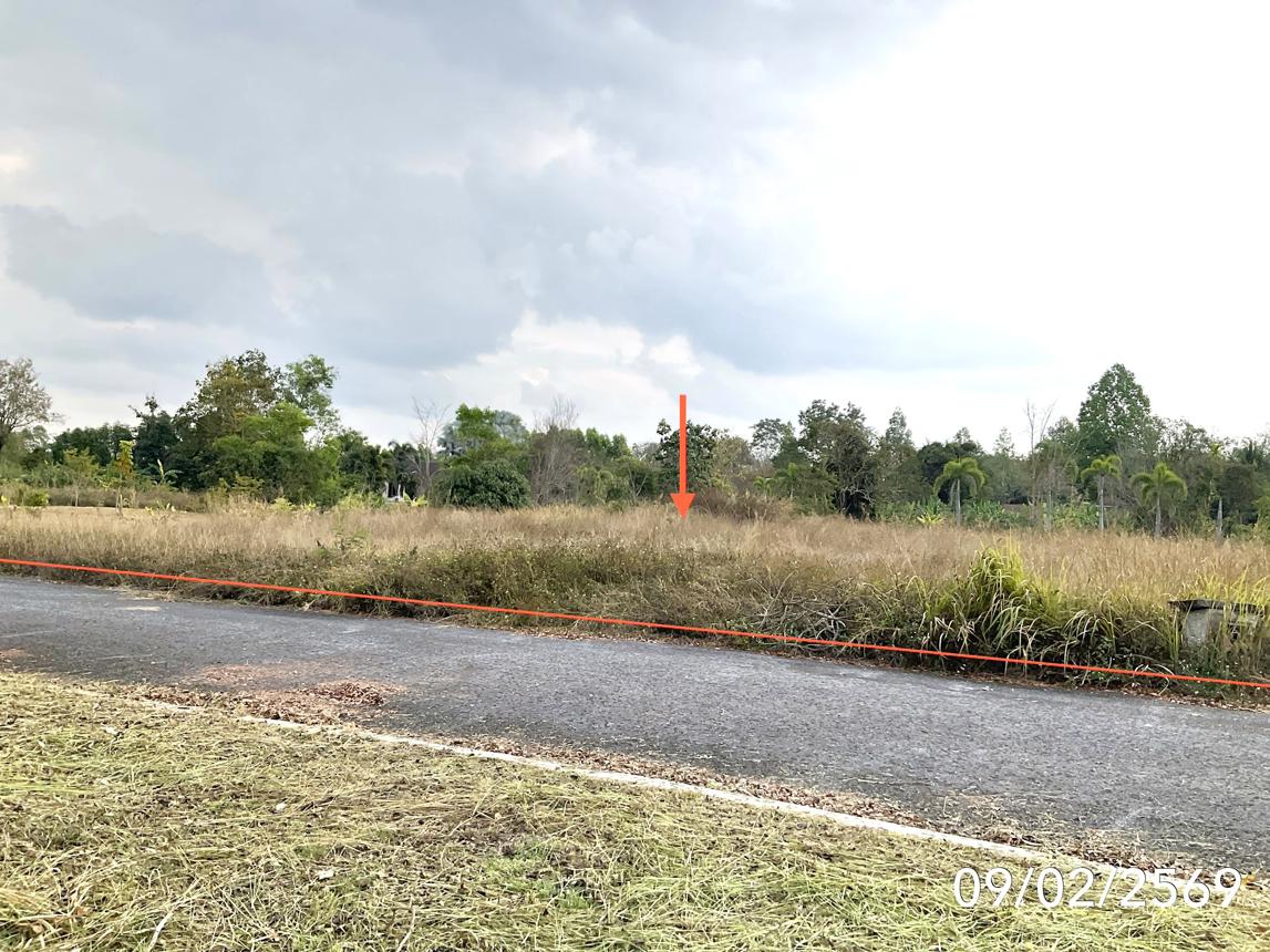 picture LAND 351 Sq.w. Wiang Chai Chiang Rai for 3.3M - 7/14