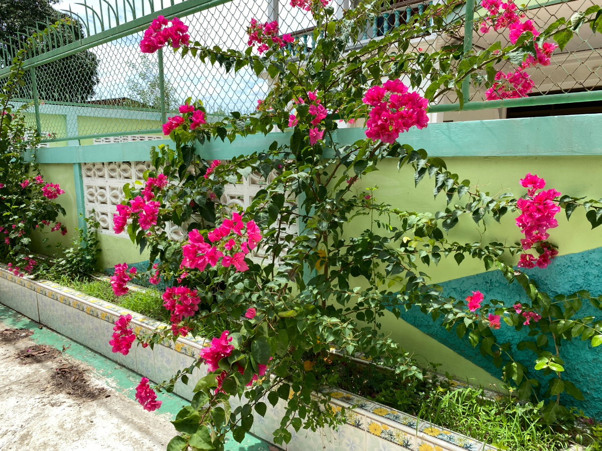 รูป ขายบ้านเดี่ยว ทำเลดี พื้นที่กว้าง อยู่ติดกับศาลาว่ากลางสิงห์บุรี อยู่ห่างจากถนนใหญ่ 150 เมตร บ้านเดี่ยวพร้อมอยู่ 2 ชั้น - รูปที่ 37/41