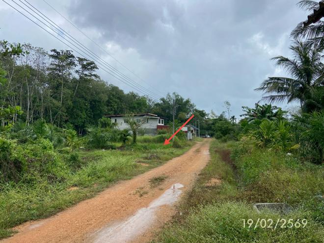 picture LAND 76.7 Sq.w. Rattaphum Songkhla for 537,000 - 9/24
