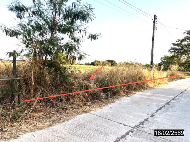 รูป ที่ดินว่างเปล่า สำหรับขาย - หนองกุงศรี หนองกุงศรี กาฬสินธุ์ - รูปที่ 3/18