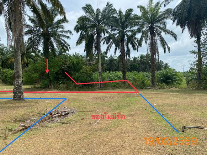 รูป ที่ดินว่างเปล่า 482.8 ตร.วา เหนือคลอง กระบี่ 1.2M - รูปที่ 7/18