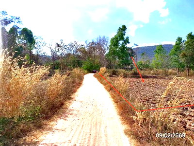 ที่ดิน ภูกามยาว พะเยา : ที่ดินว่างเปล่า 4220 ตร.วา ภูกามยาว พะเยา 1.9M