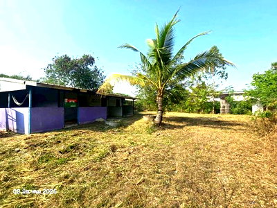 Houses for sale Kamphaeng Phet : HOME 155 Sq.w. Phran Kratai Kamphaeng Phet for 1.1M