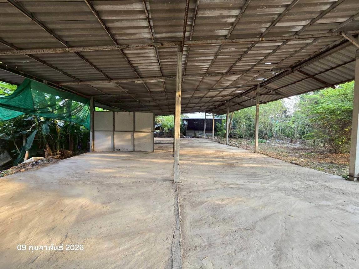 รูป บ้านเดี่ยว สำหรับขาย - ดอนกรวย ดำเนินสะดวก ราชบุรี - รูปที่ 30/54