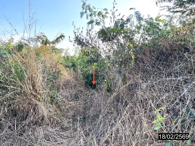 รูป ที่ดินว่างเปล่า สำหรับขาย - หนองกุงศรี หนองกุงศรี กาฬสินธุ์ - รูปที่ 6/18