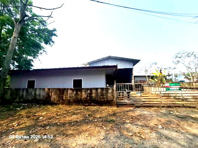 โรงงาน ดอยสะเก็ด เชียงใหม่ : โกดัง สำหรับขาย - ป่าลาน ดอยสะเก็ด เชียงใหม่