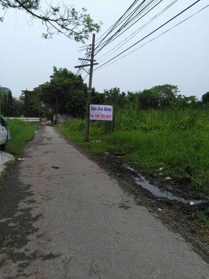 รูป ให้เช่าบ้าน เนื้อที่ 237 ตรว.บางนา กทม. - รูปที่ 3/4