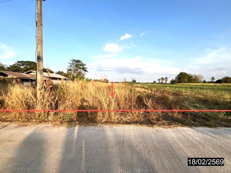 รูป ที่ดินว่างเปล่า สำหรับขาย - หนองกุงศรี หนองกุงศรี กาฬสินธุ์ - รูปที่ 15/18