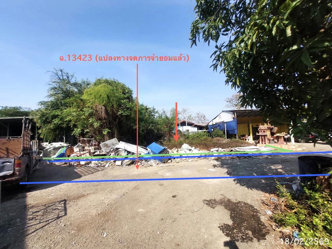 รูป ที่ดินว่างเปล่า สำหรับขาย - บ้านกล้วย เมืองชัยนาท ชัยนาท - รูปที่ 11/16