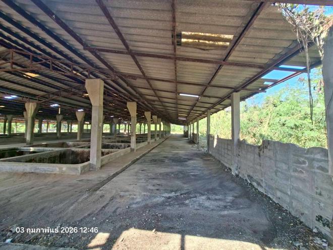 picture FACTORY 3707 Sq.w. Mae Sa-ruai Chiang Rai for 15.9M - 9/30