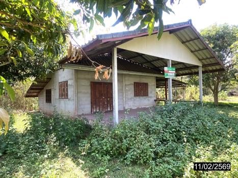 รูป บ้านเดี่ยว 95 ตร.วา ภูกระดึง เลย 884,000 - รูปที่ 15/18