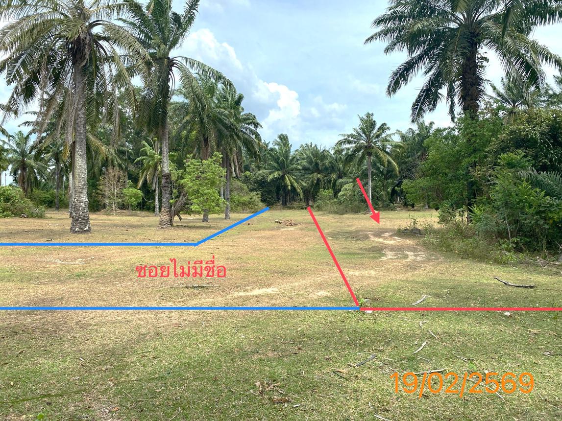 รูป ที่ดินว่างเปล่า 482.8 ตร.วา เหนือคลอง กระบี่ 1.2M - รูปที่ 13/18