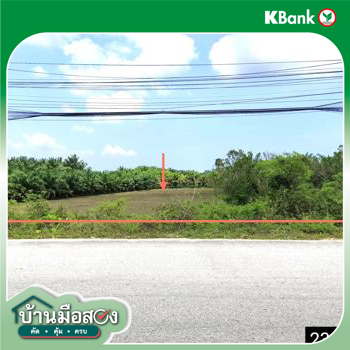 picture LAND for sale Pa We Chaiya Surat Thani - 16/18