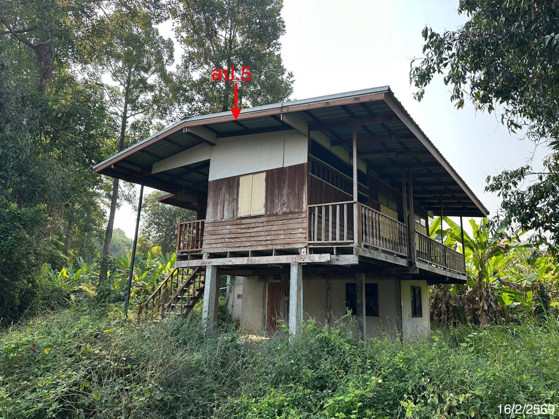 picture HOME 2403 Sq.w. Pho Thale Phichit for 2.5M - 37/44