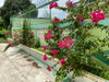 listing thumbnail image 37