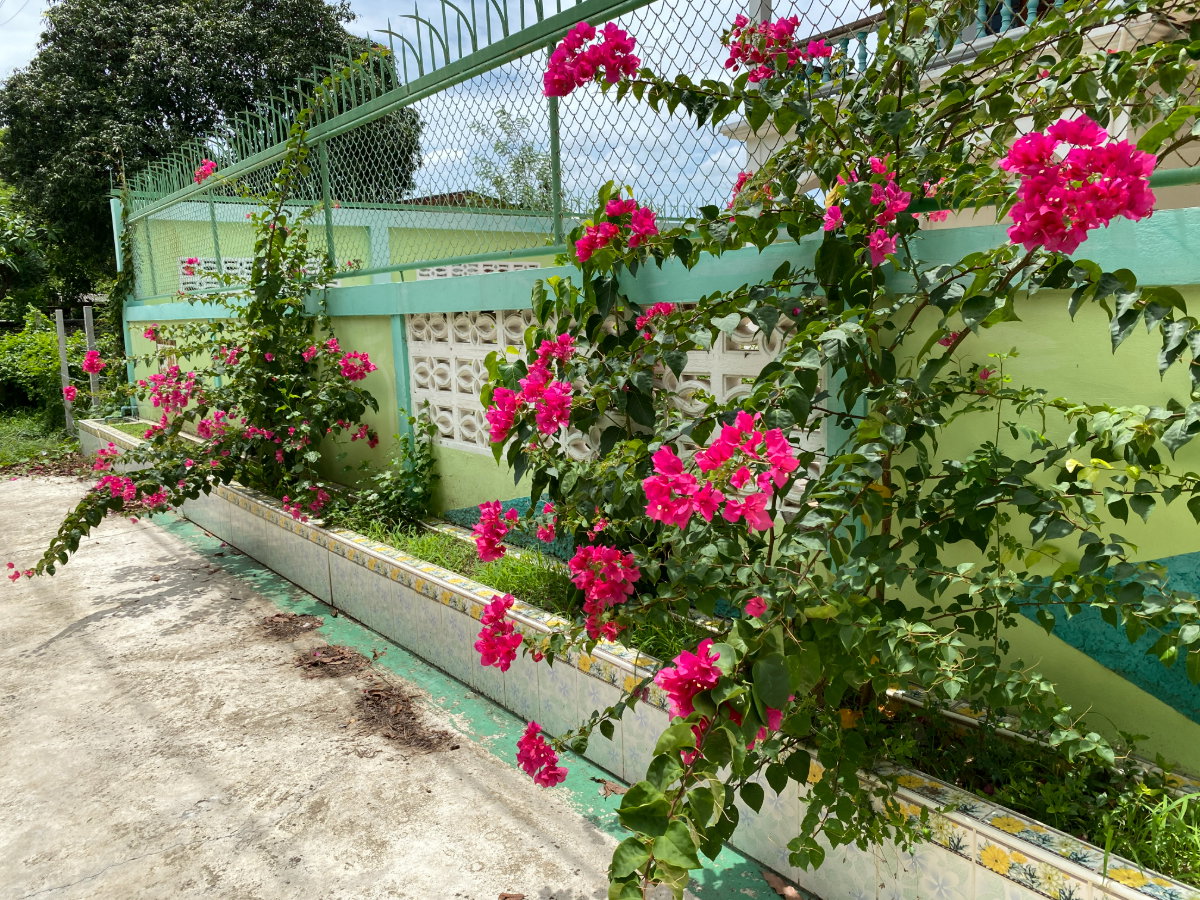 รูป ขายบ้านเดี่ยว ทำเลดี พื้นที่กว้าง อยู่ติดกับศาลาว่ากลางสิงห์บุรี อยู่ห่างจากถนนใหญ่ 150 เมตร บ้านเดี่ยวพร้อมอยู่ 2 ชั้น - รูปที่ 38/41