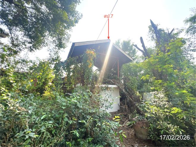 รูป บ้านเดี่ยว สำหรับขาย - หนองบัว วัดสิงห์ ชัยนาท - รูปที่ 22/50