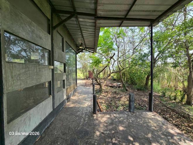 รูป บ้านเดี่ยว 100 ตร.วา เมืองพิษณุโลก พิษณุโลก 830,000 - รูปที่ 4/26