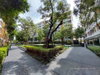 listing thumbnail image 19