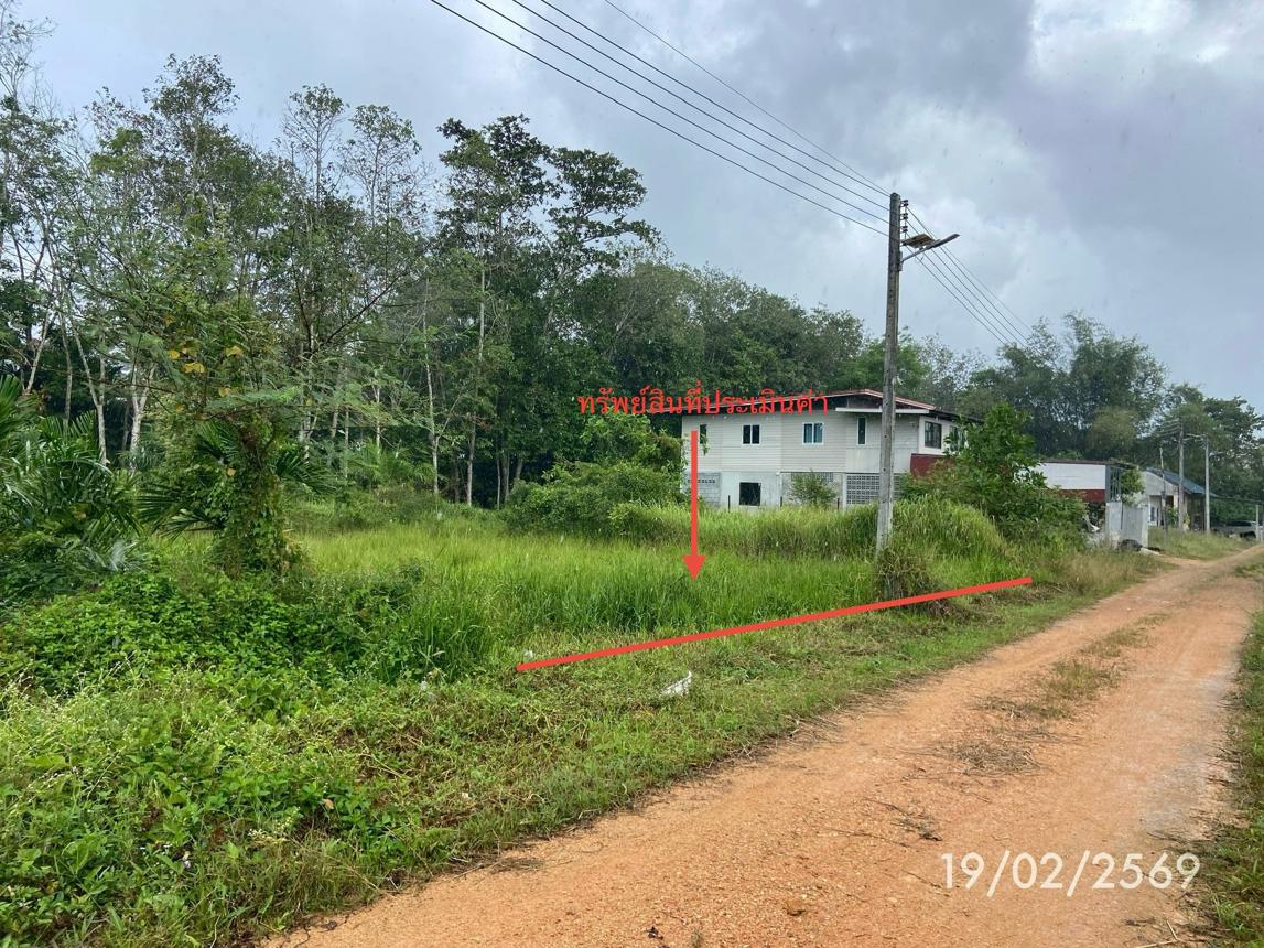 picture LAND 76.7 Sq.w. Rattaphum Songkhla for 537,000 - 12/24