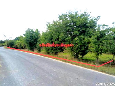 ที่ดินว่างเปล่า 756 ตร.วา สันป่าตอง เชียงใหม่ 1.1M