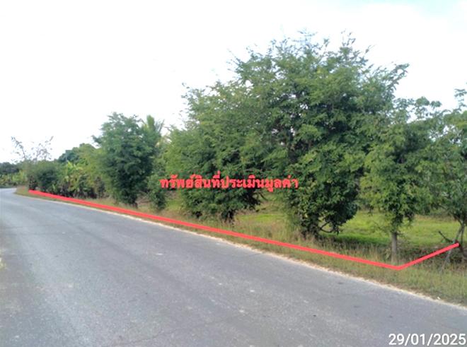 รูป ที่ดินว่างเปล่า สำหรับขาย - ทุ่งสะโตก สันป่าตอง เชียงใหม่ - รูปที่ 1/12