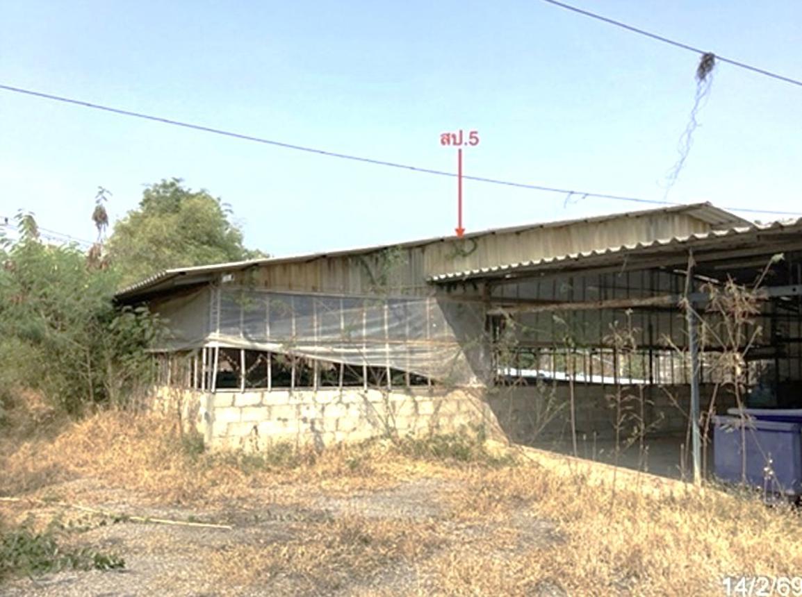 รูป บ้านเดี่ยว 1130 ตร.วา เขาย้อย เพชรบุรี 4.6M - รูปที่ 37/48