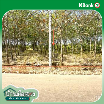 picture LAND 5920 Sq.w. Trakan Phutphon Ubon Ratchathani for 1.5M - 16/18