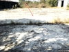 listing thumbnail image 49