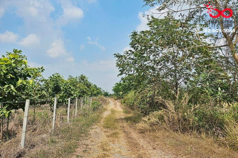 รูป ขายที่ดิน 367 ตร.วา คลอง 23 องครักษ์ นครนายก - รูปที่ 2/3