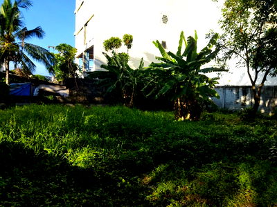 ที่ดิน อนุสาวรีย์ประชาธิปไตย : LTHC6826 – Land FOR SALE in Ekkamai size 80 Sq.Wah.BTS Ekkama Station ONLY 45 MB