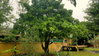 listing thumbnail image 56