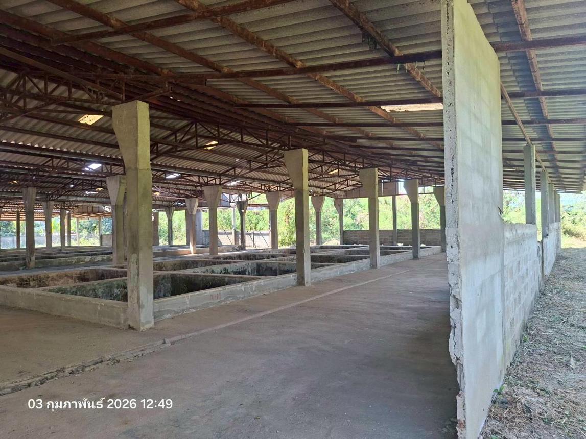 picture FACTORY 3707 Sq.w. Mae Sa-ruai Chiang Rai for 15.9M - 23/30