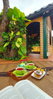 listing thumbnail image 57