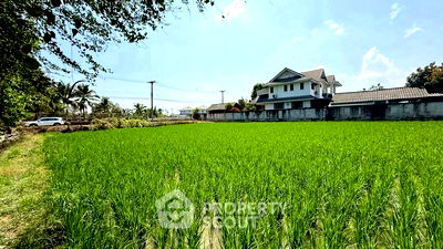 ที่ดิน ม.แม่โจ้ : ที่ดินสำหรับปล่อยขาย 4,552 ตารางเมตร แถว ใน หนองจ๊อม (ID 2727475)