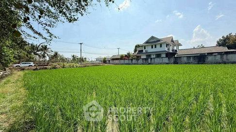 ที่ดินสำหรับปล่อยขาย 4,552 ตารางเมตร แถว ใน หนองจ๊อม (ID 2727475)