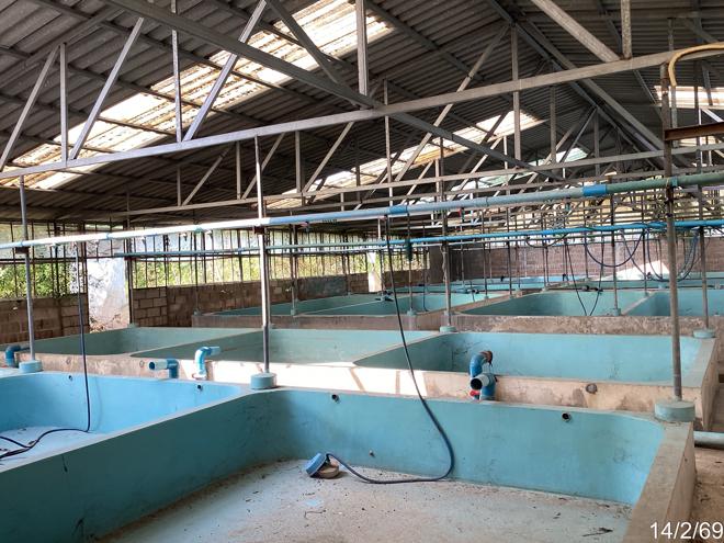 รูป บ้านเดี่ยว 1130 ตร.วา เขาย้อย เพชรบุรี 4.6M - รูปที่ 17/48