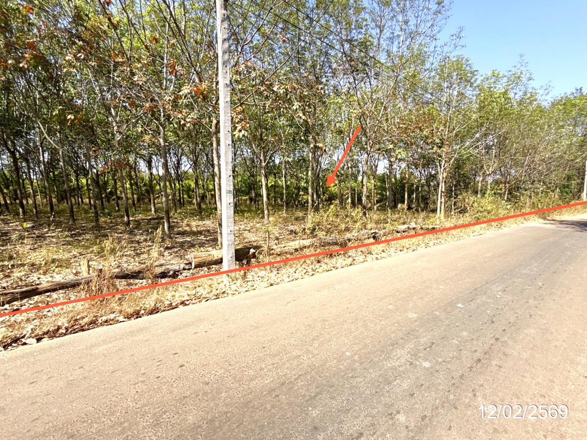 picture LAND 5920 Sq.w. Trakan Phutphon Ubon Ratchathani for 1.5M - 9/18