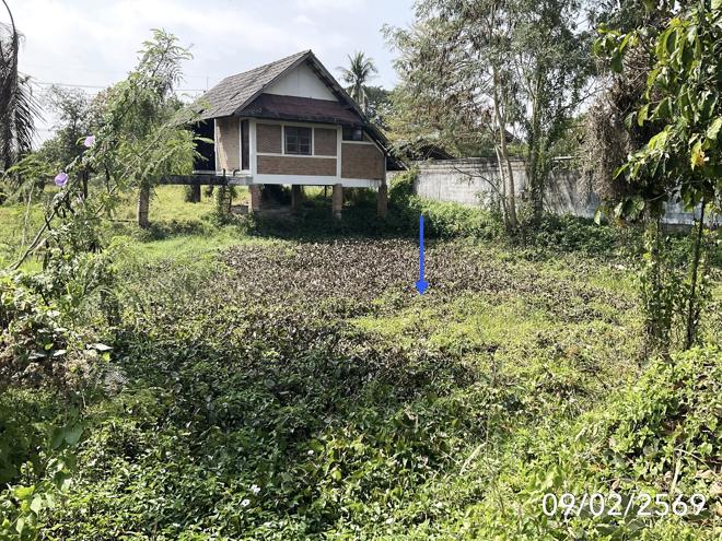 รูป บ้านเดี่ยว สำหรับขาย - ดอนศิลา เวียงชัย เชียงราย - รูปที่ 7/18