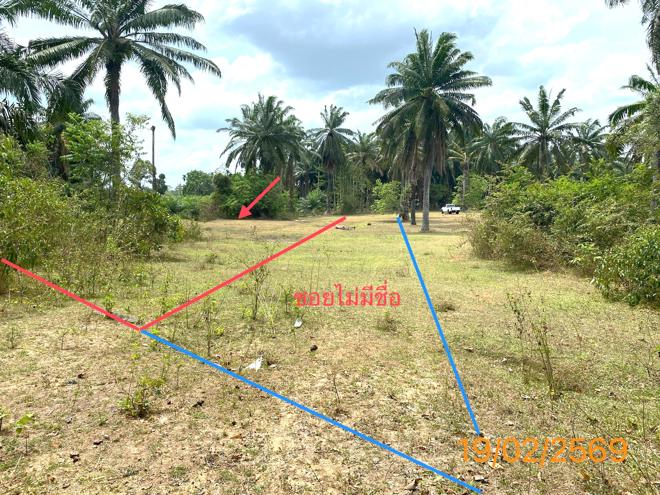 รูป ที่ดินว่างเปล่า 482.8 ตร.วา เหนือคลอง กระบี่ 1.2M - รูปที่ 2/18