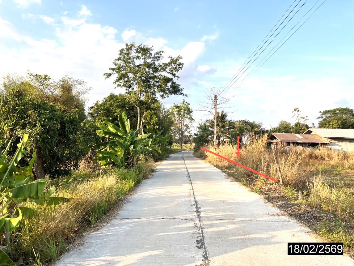 รูป ที่ดินว่างเปล่า สำหรับขาย - หนองกุงศรี หนองกุงศรี กาฬสินธุ์ - รูปที่ 14/18