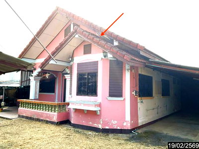 บ้านเดี่ยว 400 ตร.วา แม่สาย เชียงราย 5.5M