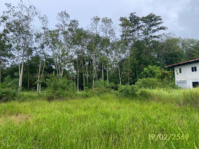 picture LAND 76.7 Sq.w. Rattaphum Songkhla for 537,000 - 7/24