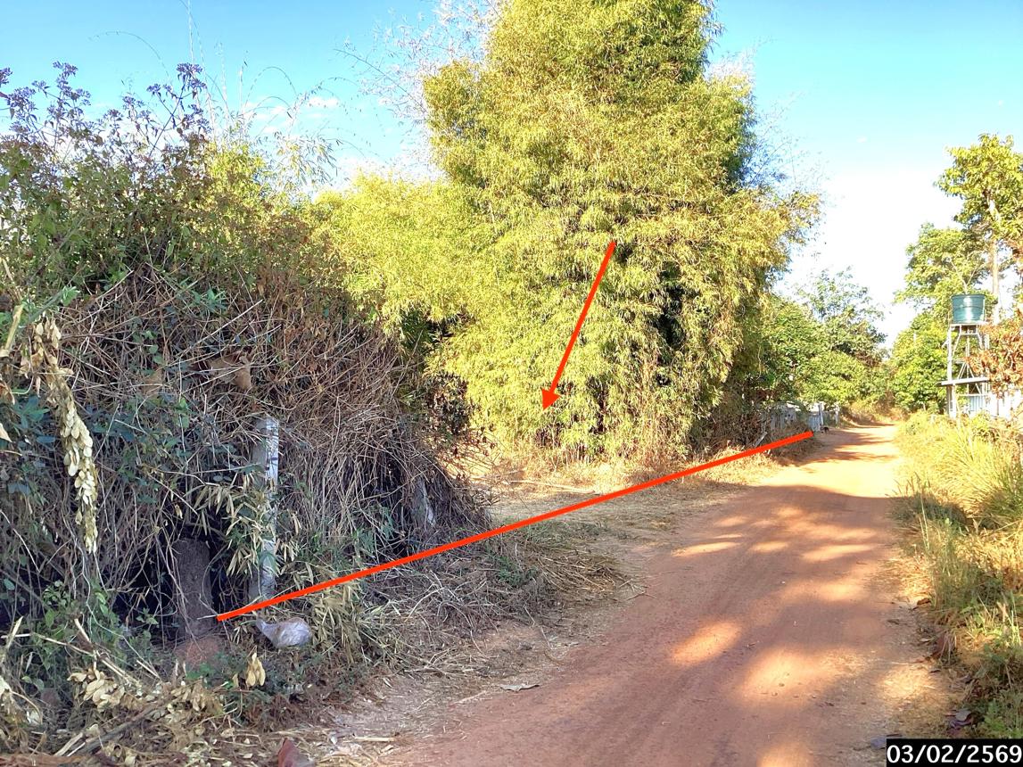 รูป ที่ดินว่างเปล่า 257 ตร.วา พรรณานิคม สกลนคร 463,000 - รูปที่ 5/12