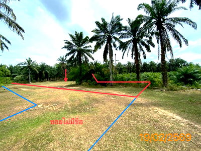 ที่ดินว่างเปล่า 482.8 ตร.วา เหนือคลอง กระบี่ 1.2M