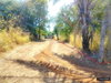 listing thumbnail image 13