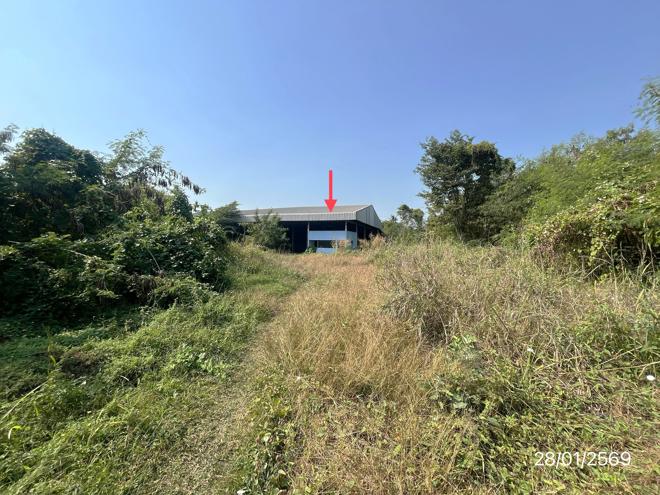 รูป อาคารโรงงาน สำหรับขาย - ทะนง โพทะเล พิจิตร - รูปที่ 2/34