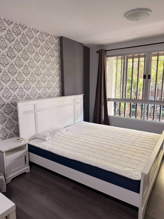 picture Dcondo Campus Resort Bangna for rent - 3/11