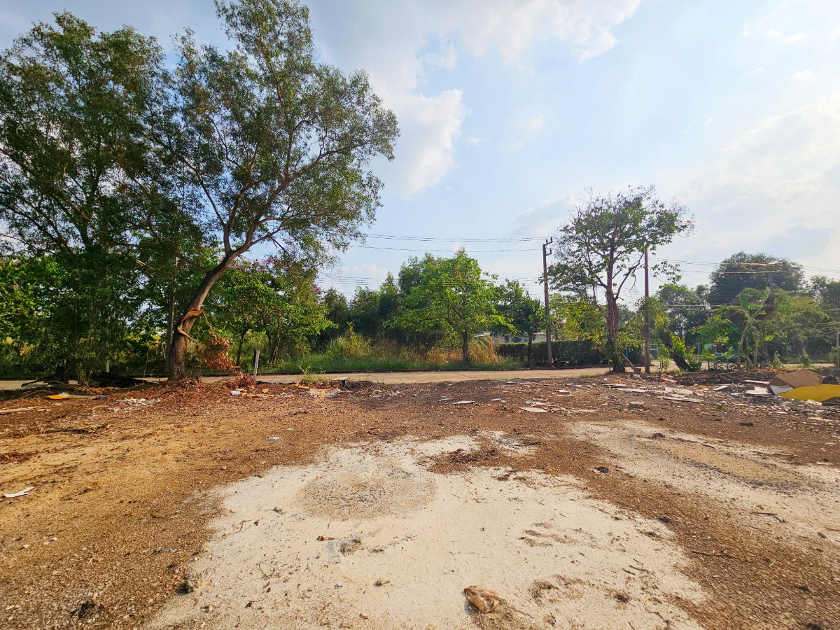 รูป ขาย ที่ดินเปล่า 6 ไร่ คลอง 3 อ.คลองหลวง ปทุมธานี ถมแล้ว แปลงสี่เหลี่ยมสวย  - รูปที่ 5/6