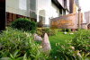 listing thumbnail image 15